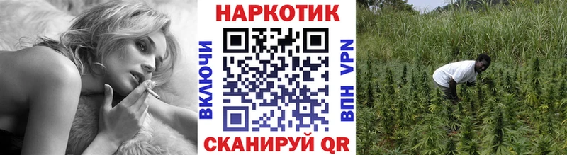 Где можно купить наркотики Медынь Alpha PVP  LSD-25  Гашиш  МАРИХУАНА  Меф мяу мяу 