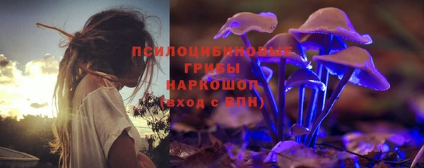 mix Белокуриха