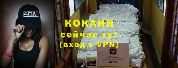 mix Богородицк