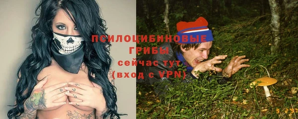 mix Белокуриха