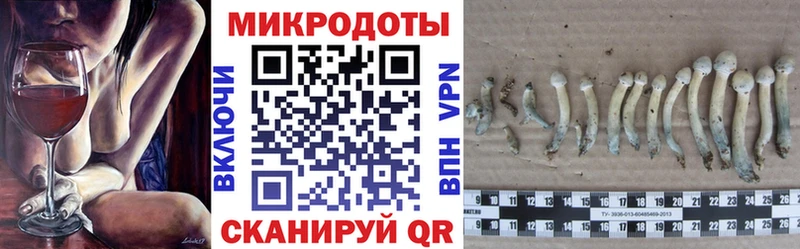 omg как войти  Медынь  Галлюциногенные грибы Cubensis 
